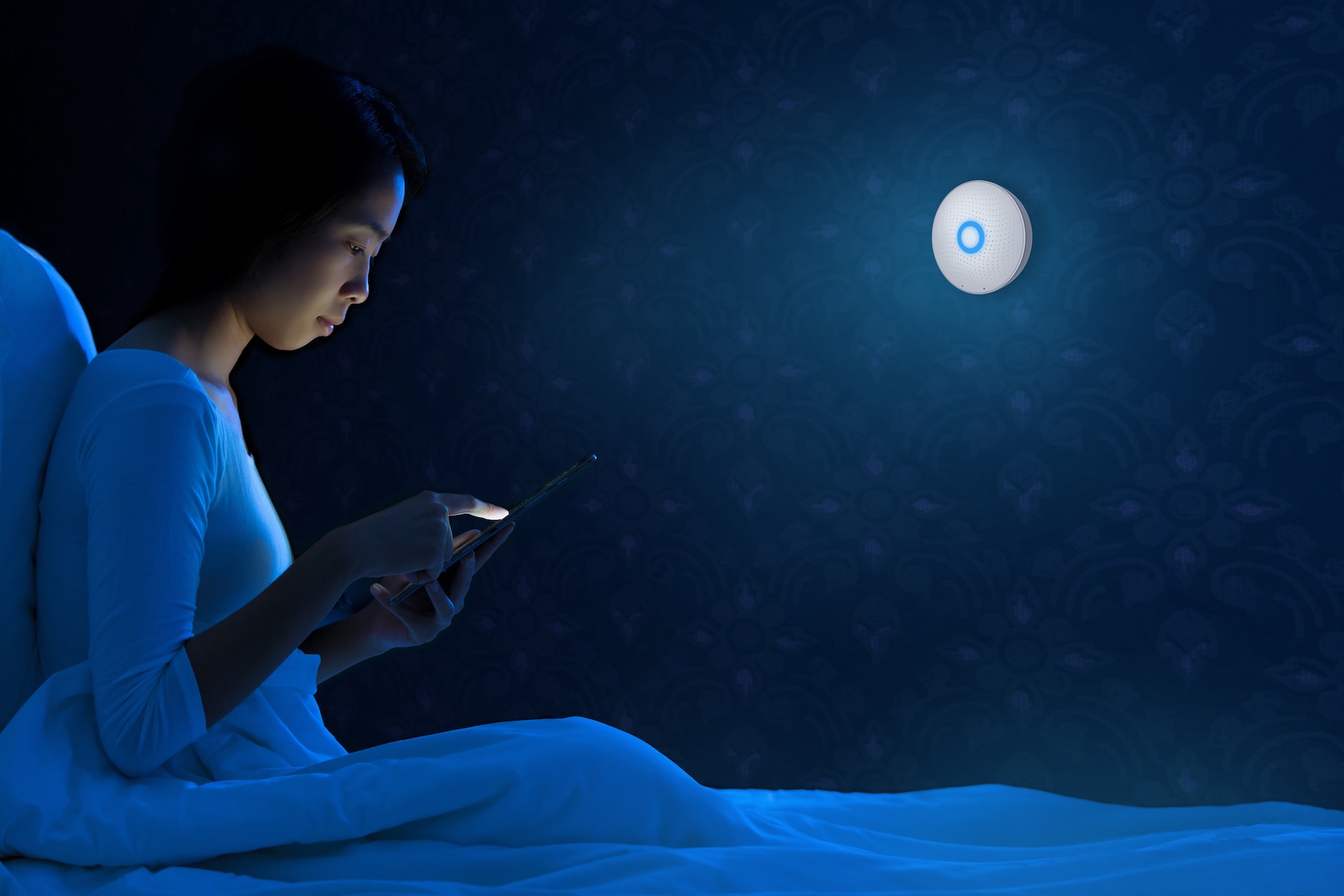 night lifestyle shine